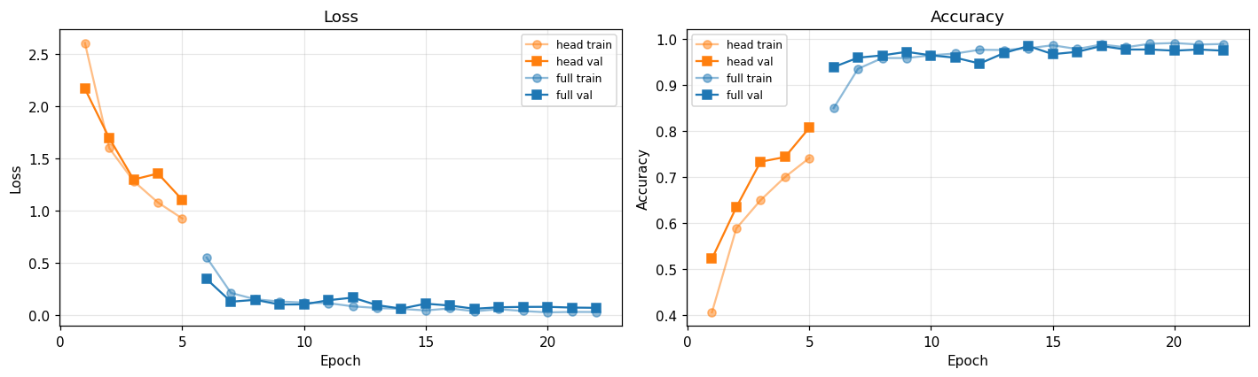 Training and validation loss and accuracy curves for the classifier head and full-model training stages